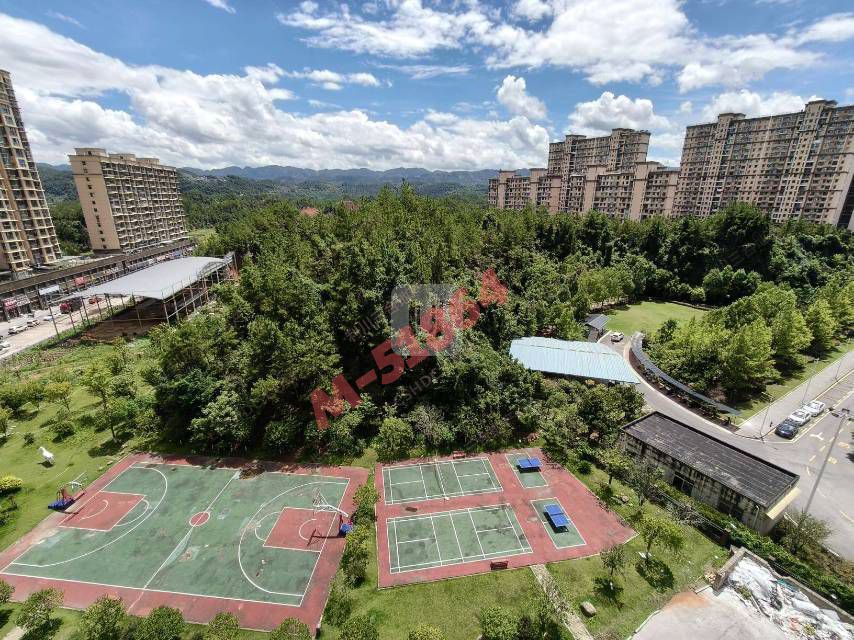 M-51864售房图片