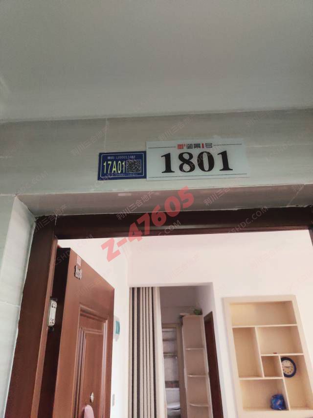 Z-47605图片