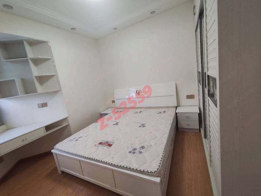 Z-52559图片