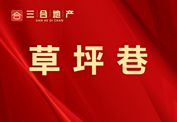 草坪巷私房/小产权小区图片