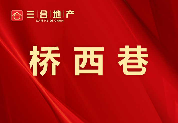 桥西巷私房/小产权小区图片