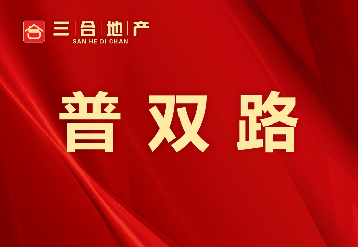 普双路私房/小产权小区图片
