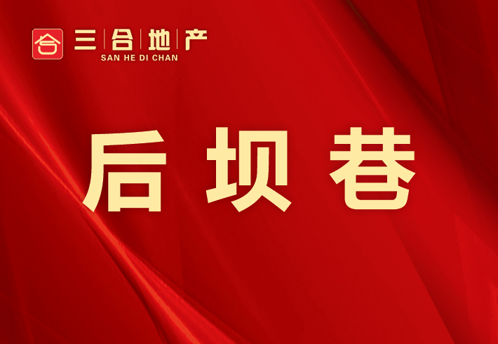 后坝巷私房/小产权小区图片