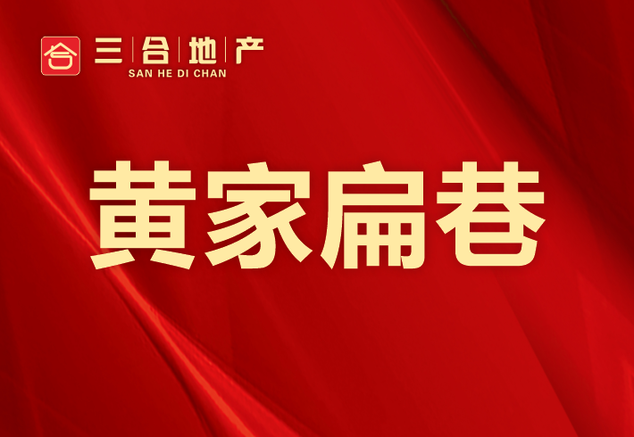 黄家扁巷私房/小产权小区图片