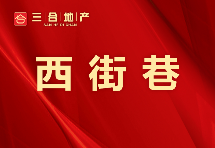 西街巷私房/小产权小区图片