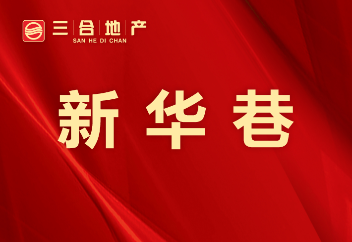 新华巷私房/小产权小区图片
