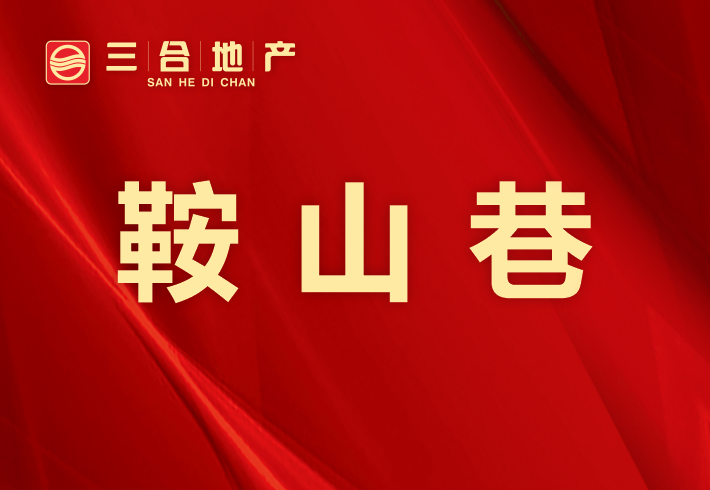 鞍山巷私房/小产权小区图片