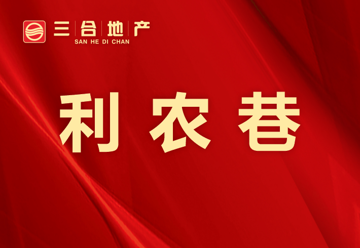 利农巷私房/小产权小区图片
