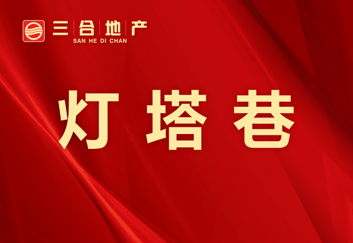 灯塔巷私房/小产权小区图片