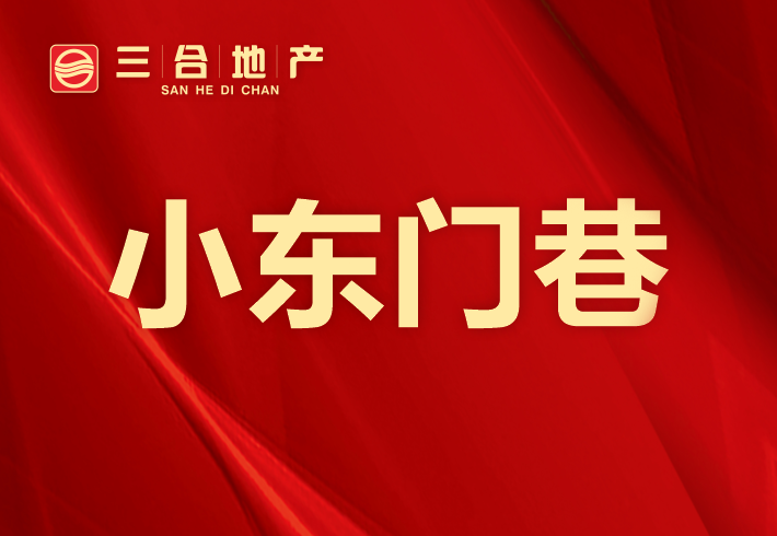 小东门巷私房/小产权小区图片