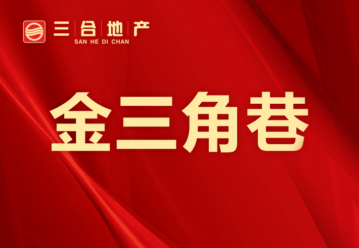 金三角巷私房/小产权小区图片