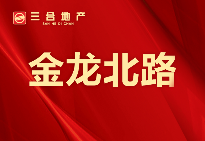  金龙北路私房/小产权小区图片