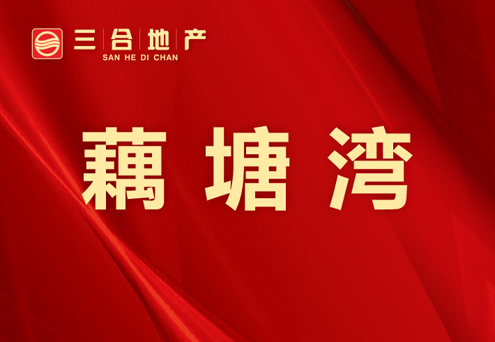 藕塘湾私房/小产权小区图片