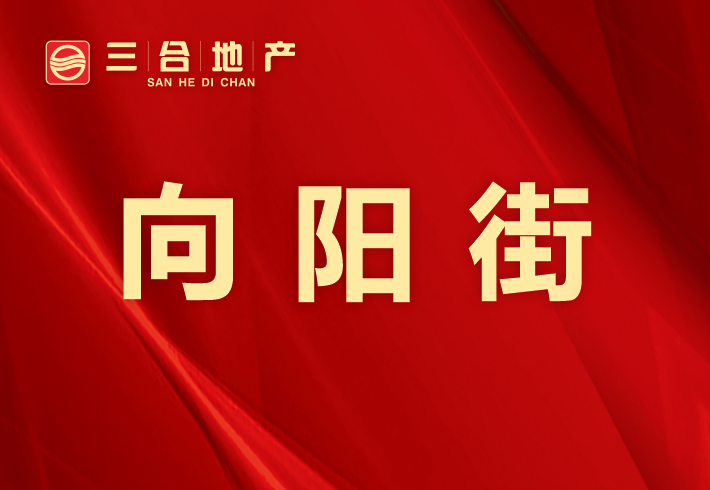 向阳街私房/小产权小区图片