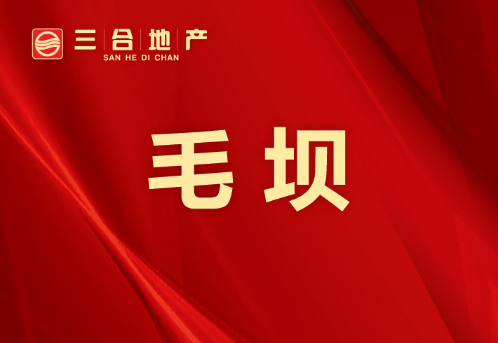 毛坝小产权/私房小区图片